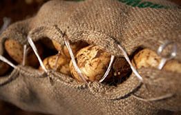 Changed entry conditions for potatoes into Victoria
