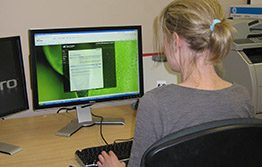 Online seed sales a blooming problem