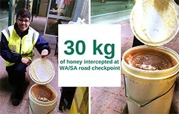 30 kg of honey intercepted at border