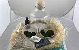 Border finds: in terrariums and children’s furniture