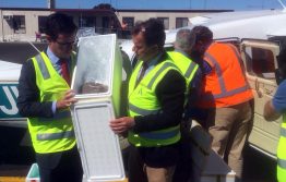 Super sexy sterile fruit flies enlisted in fruit fly fight